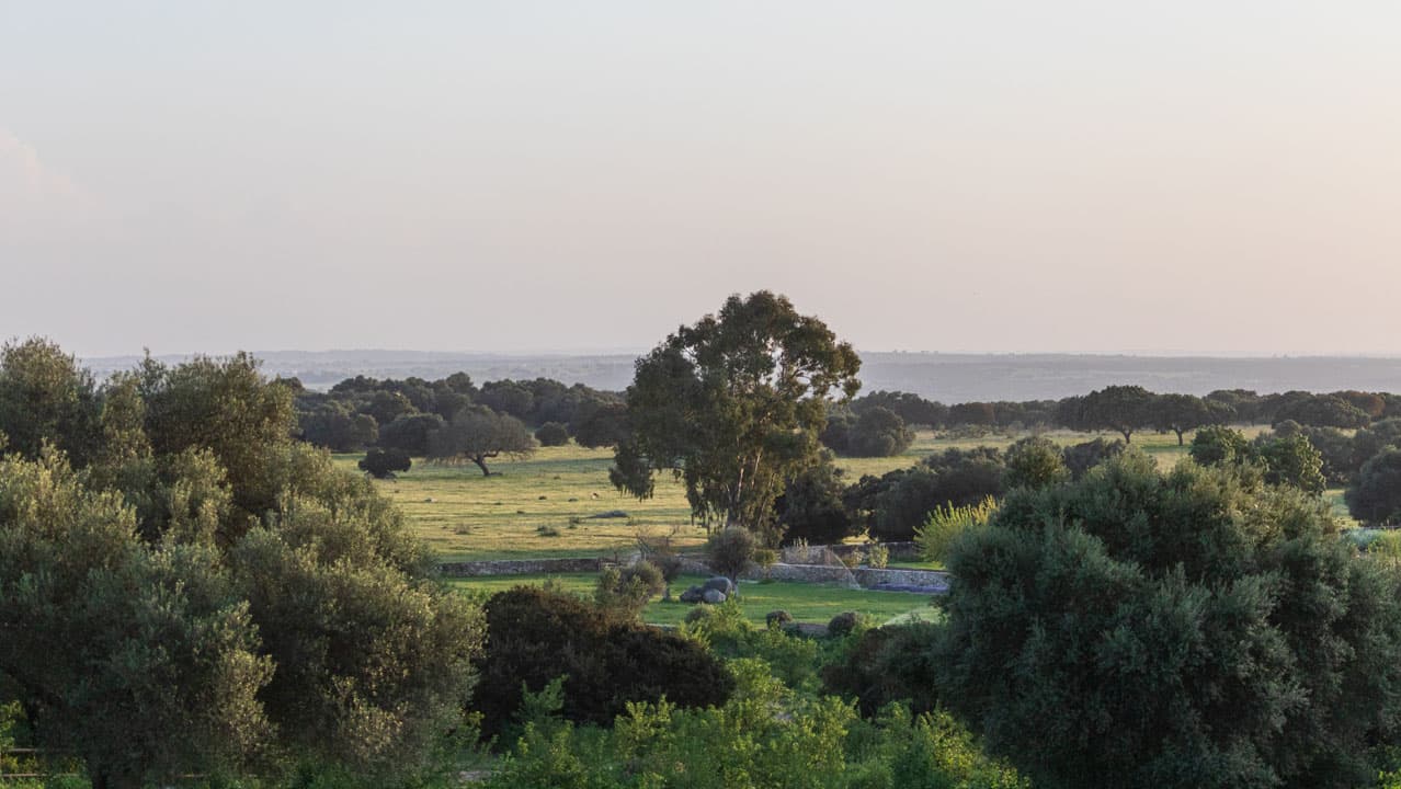 Alentejo countryside, rolling hills