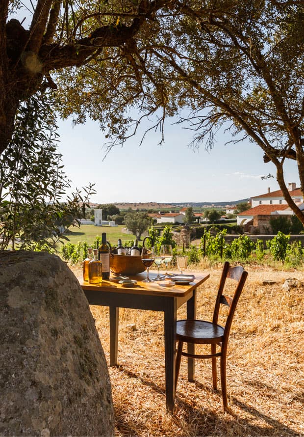 Long lunch overlooking the vineyards, Alentejo