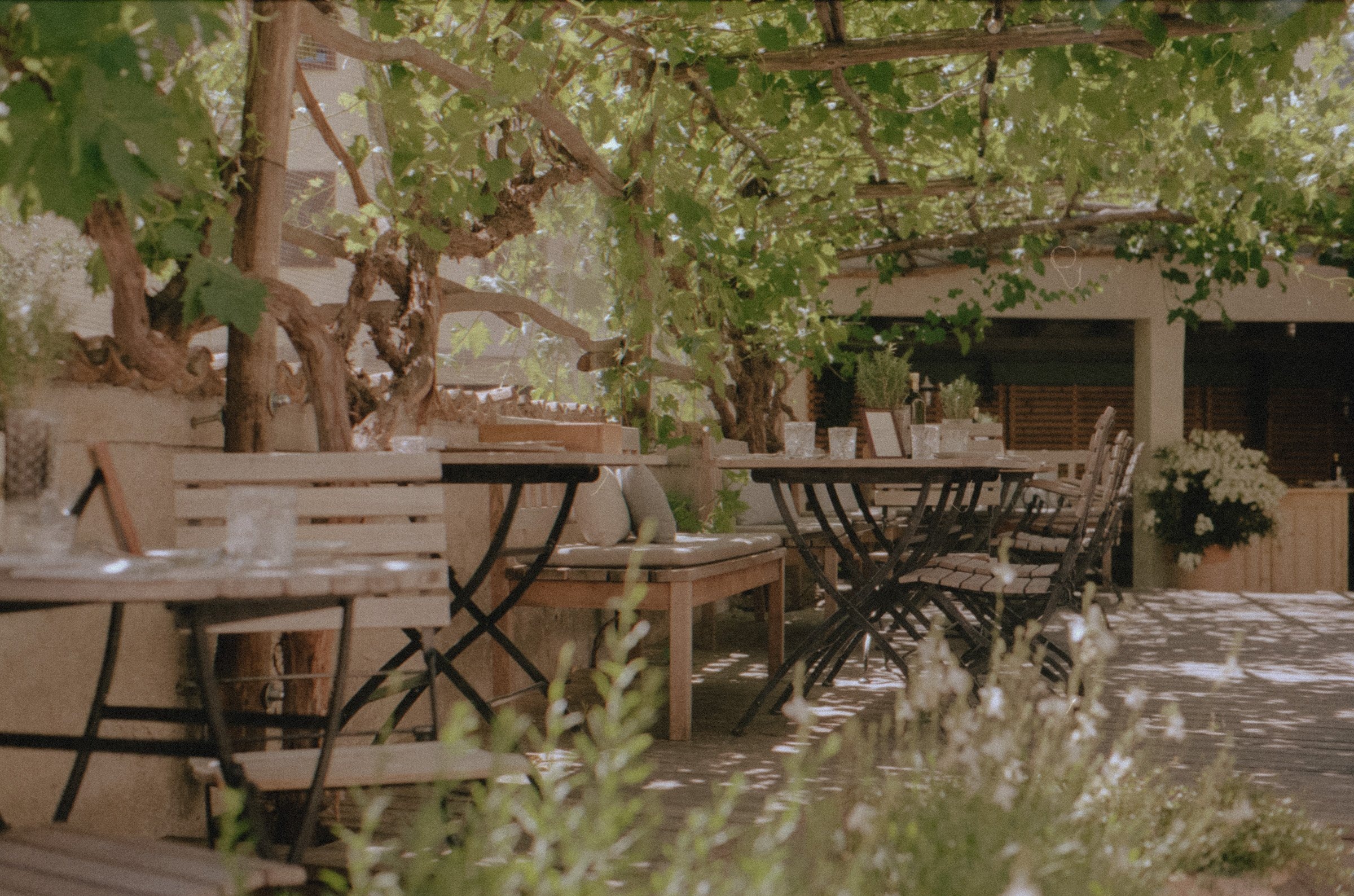 1477 Reichhalter — Terrasse unter der Weinlaube