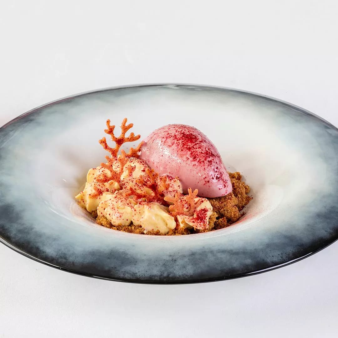 Sissi — Berry sorbet dome with cream and coral tuile