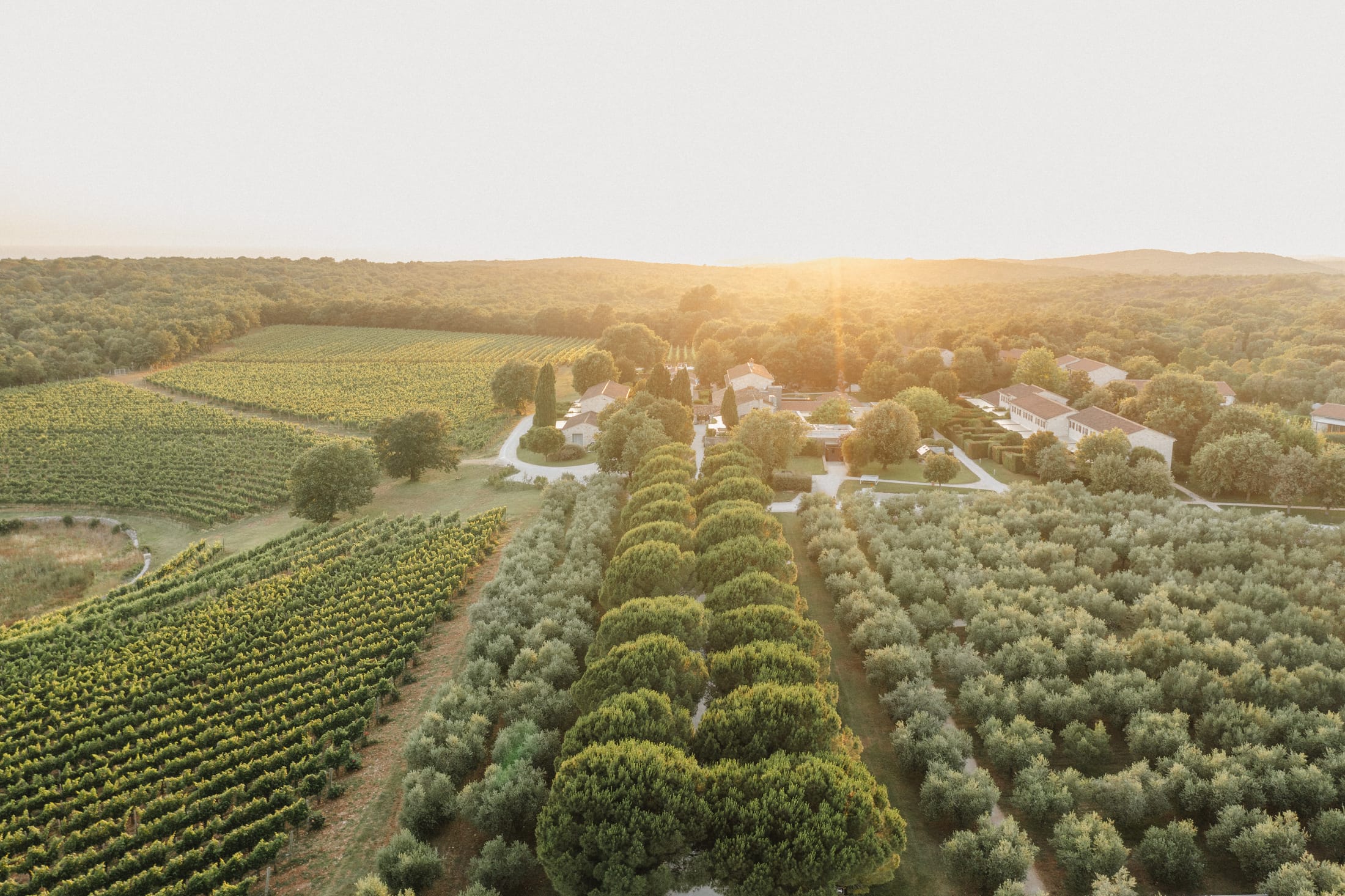 Meneghetti Wine Hotel & Winery — the estate among the vineyards