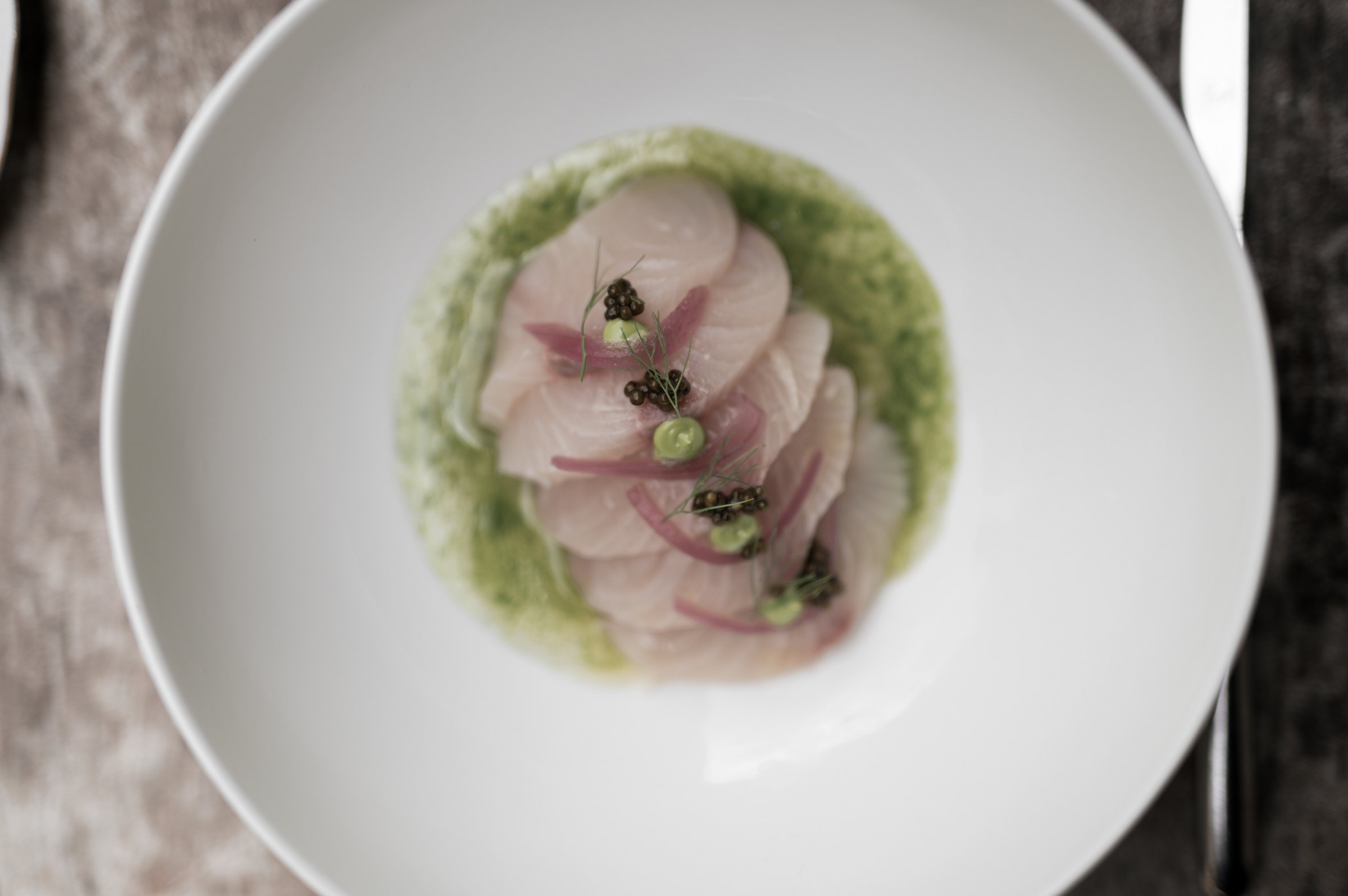1477 Reichhalter — Fischgericht mit grüner Sauce