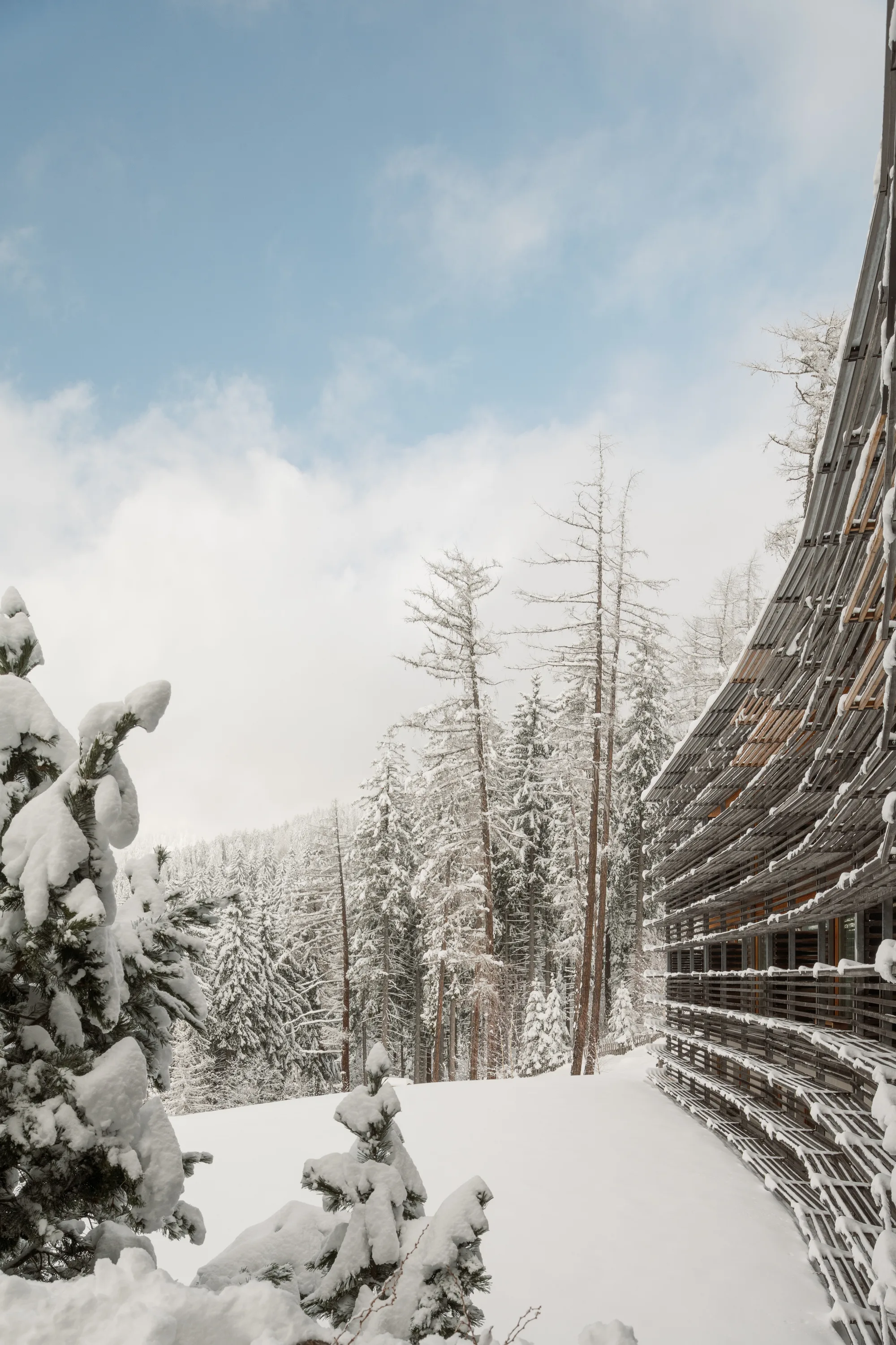 Snowshoe landscape around vigilius mountain resort in winter.