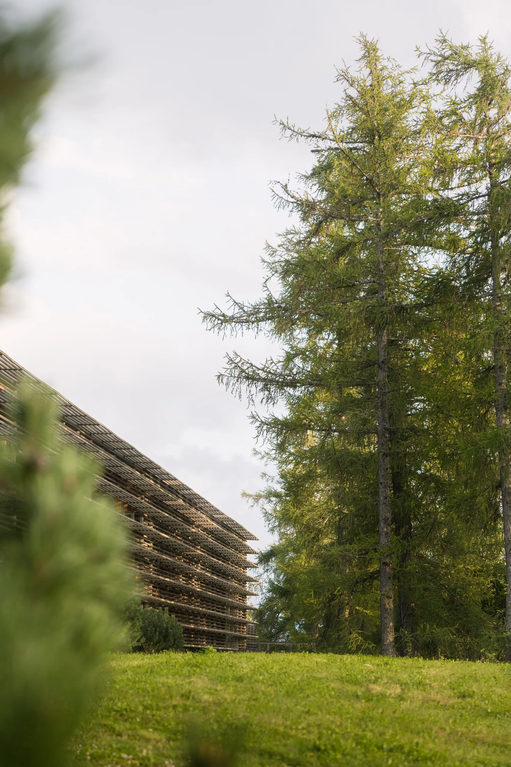 The resort building merging into larch forest on the Vigiljoch.