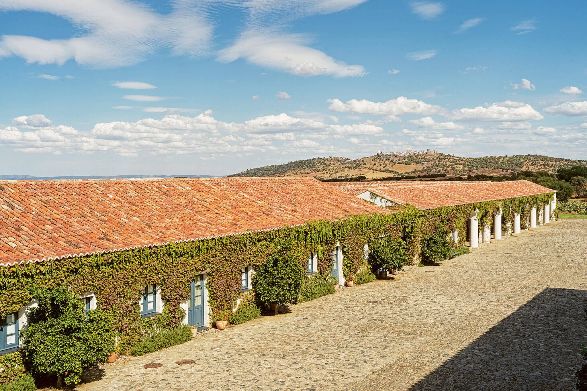 Of Stones and Time: The Story of José António Uva