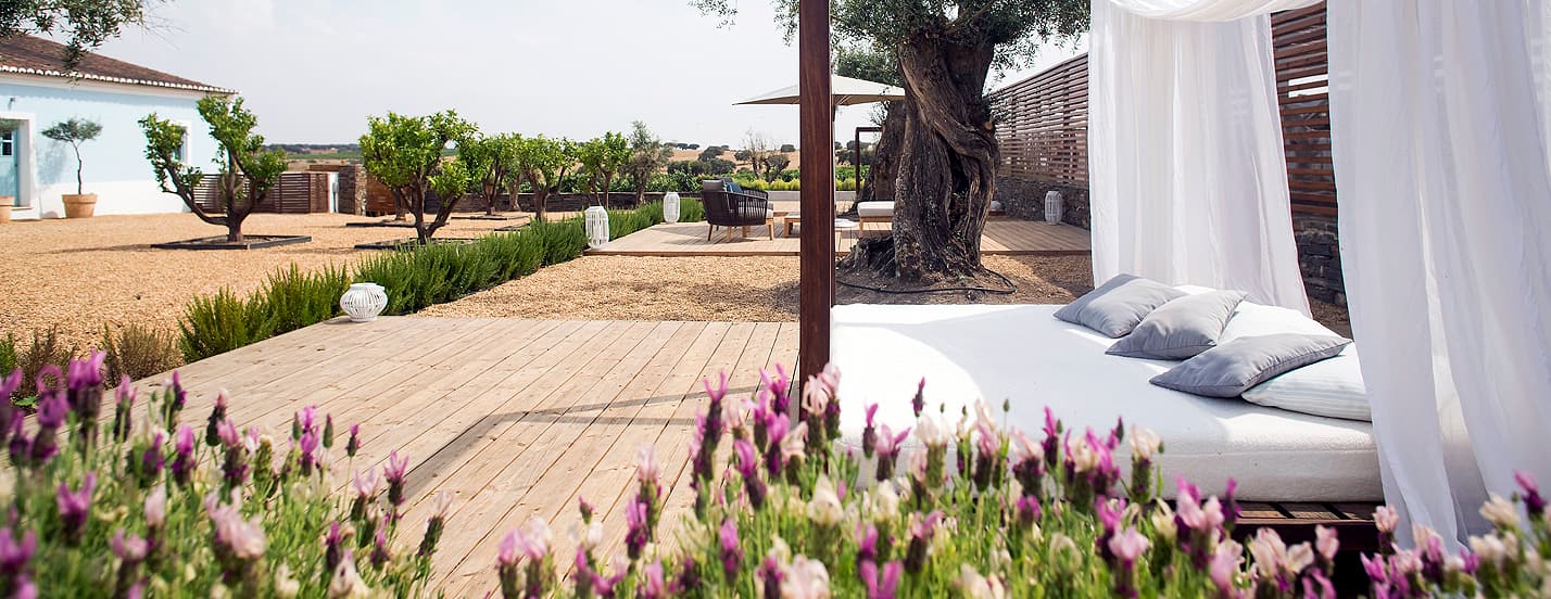 Herdade da Malhadinha Nova — herdade_da_malhadinha_nova_albernoa_alentejo_portugal_1