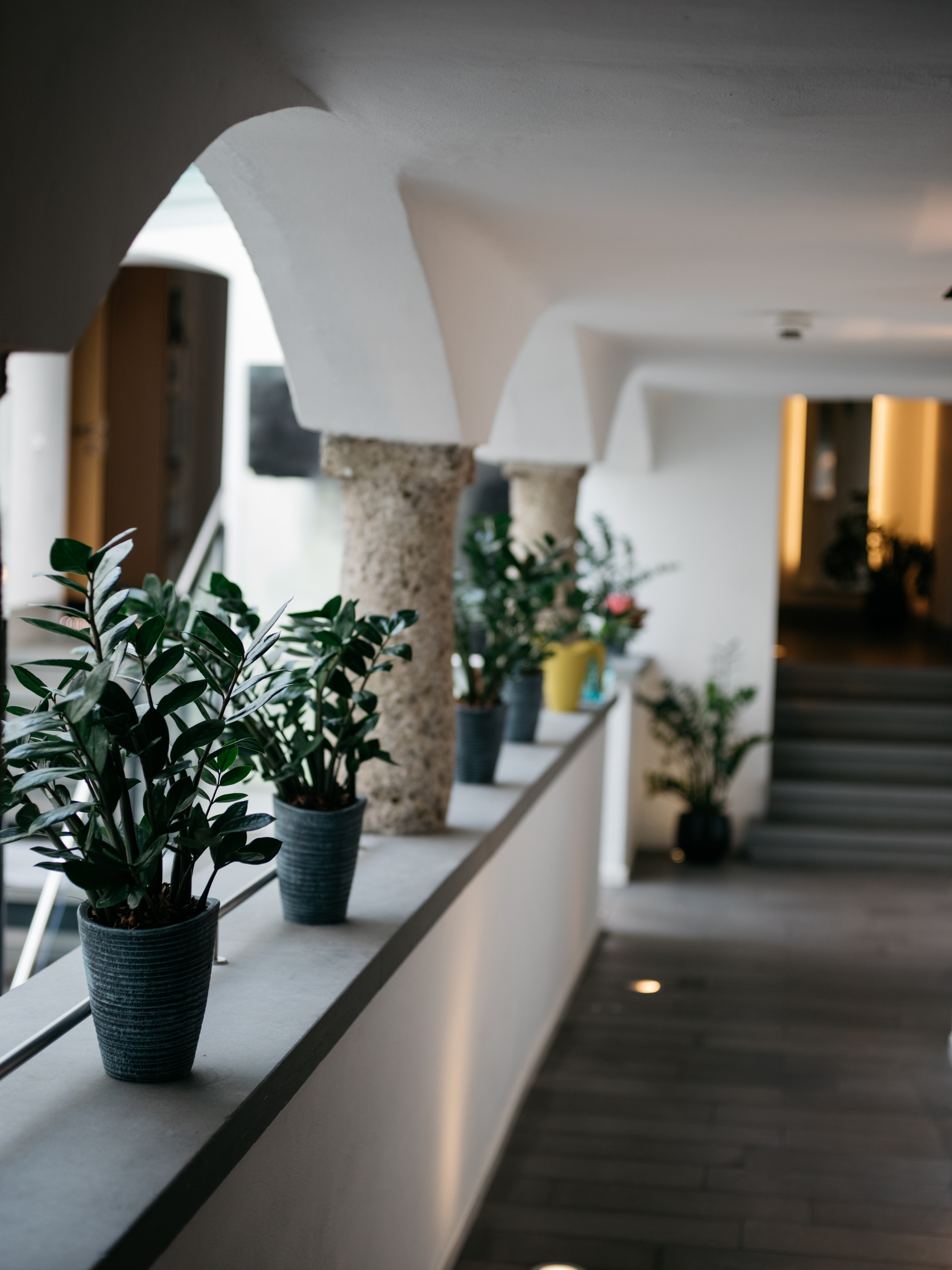 Arthotel Blaue Gans — gewölbte Arkade mit Natursteinsäulen und Topfpflanzen im Inneren des historischen Hauses