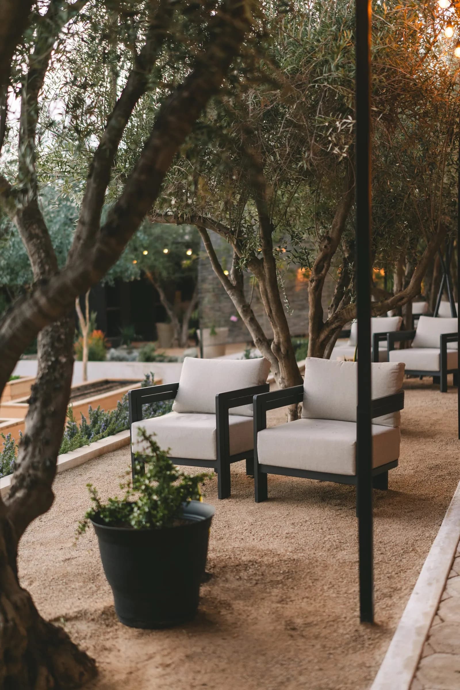 Olivea Farm to Table — lounge