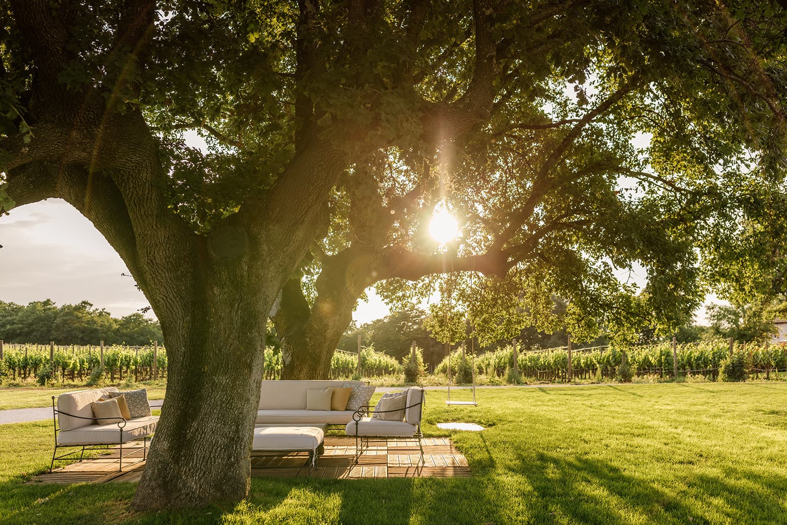 Meneghetti — Weinberge und Lounge unter dem Baum im goldenen Abendlicht, Istrien