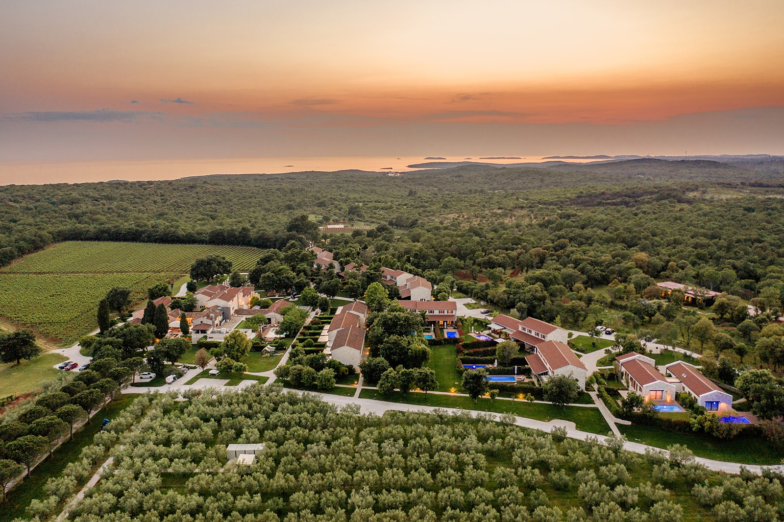 Meneghetti — Sonnenuntergang über den Weinbergen, Istrien