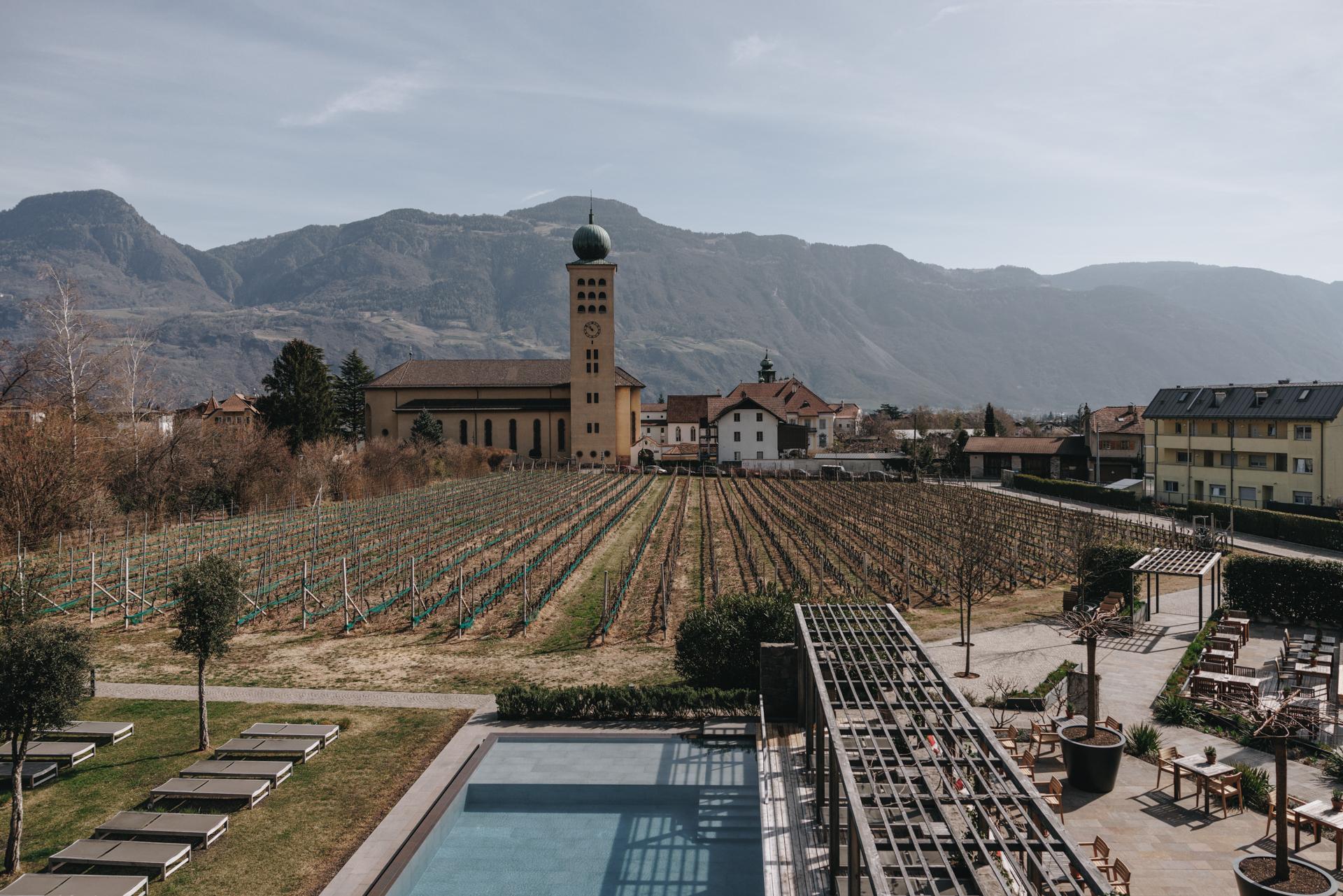 Schwarzschmied — Vineyard and pool
