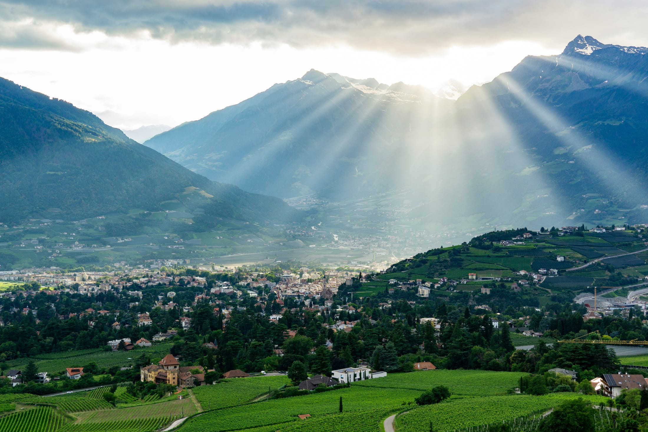 Evening light over the vineyards near Lana with the mountains beyond