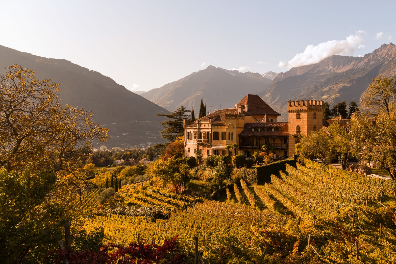 Traditional South Tyrolean houses among the vineyards beneath the mountains