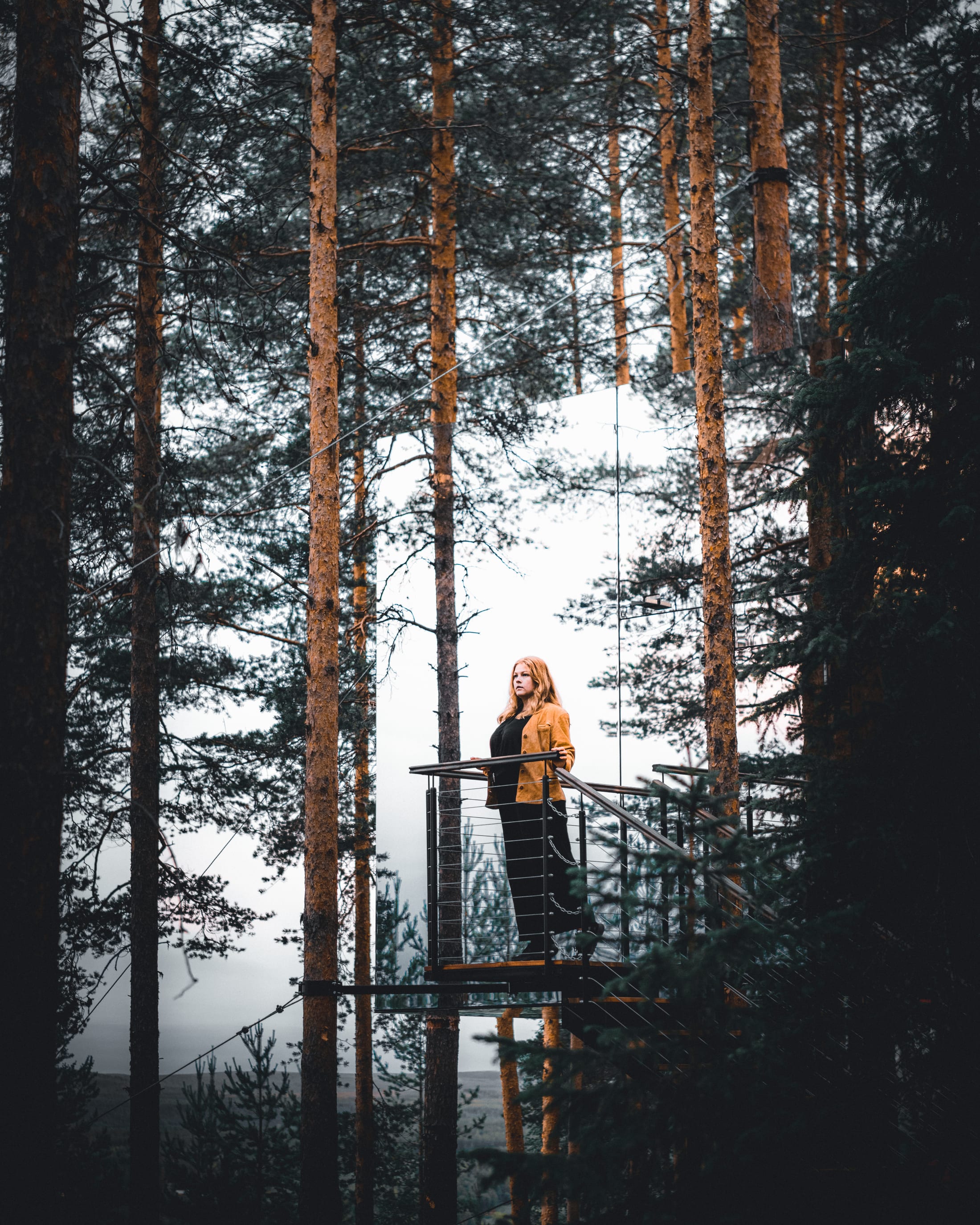 Treehotel — der Mirrorcube mit seinem Aufgang zwischen den Bäumen