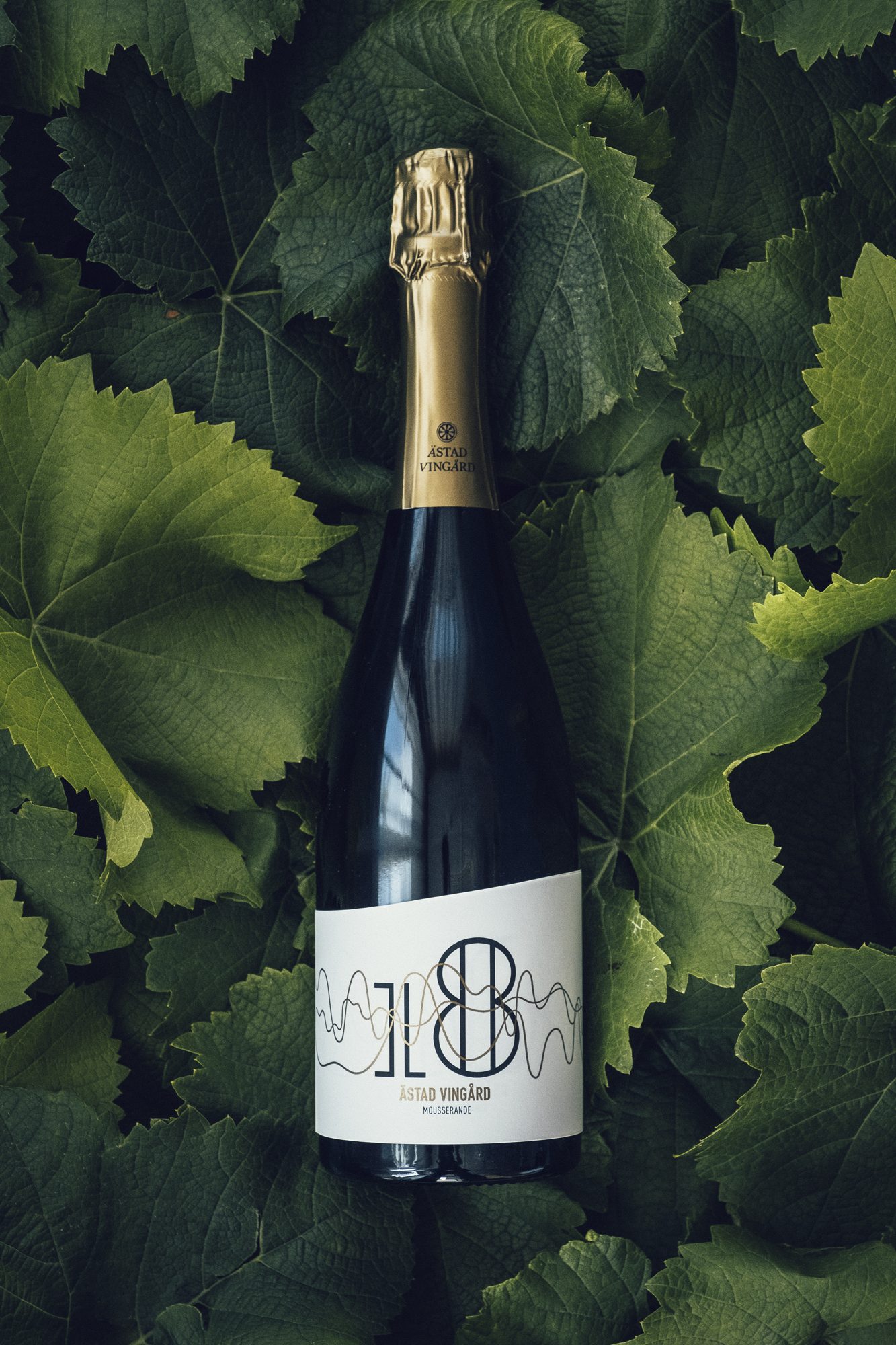 Ästad Vingård — Flasche des hauseigenen Schaumweins zwischen grünen Blättern