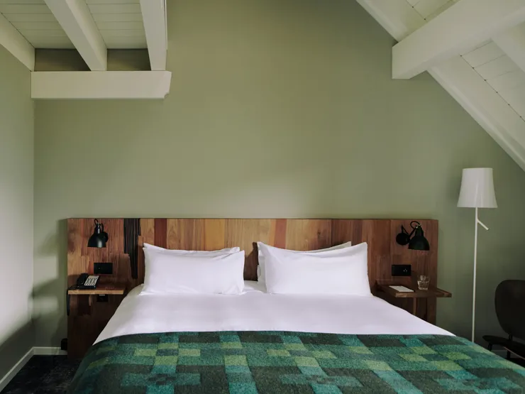 cincins_the-cambrian-family_suite-2-1-jpg.jpg_01