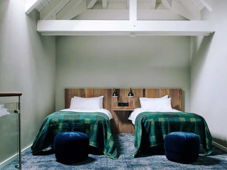 cincins_the-cambrian-family_suite-4-1-jpg.jpg_01