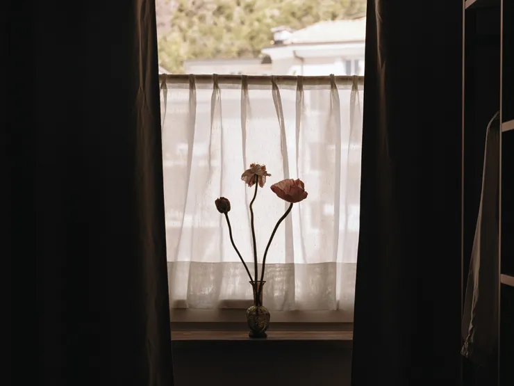 parkmondschein-petite-05.jpeg_unbekanntes_zimmer_01